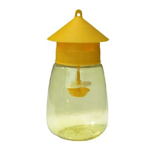 تله جذب و شکار مگس میوه و مگس خربزه